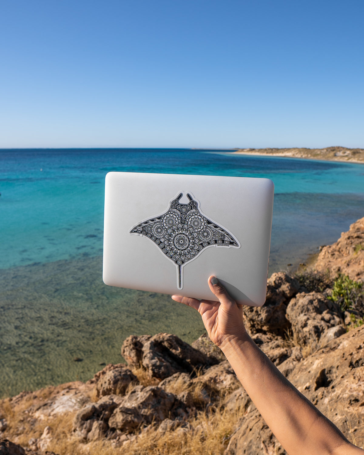 Manta Rays Image For Sticker MANTA RAY STICKER – kobajourney